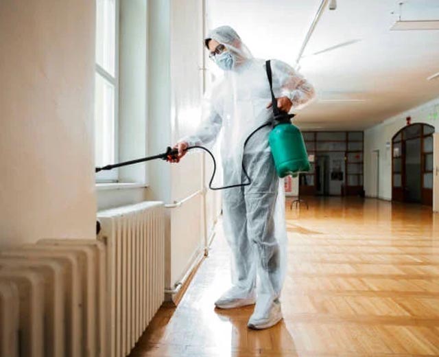 Dératisation par SHDD Sécurité Habitat à Boulogne-Billancourt (92)